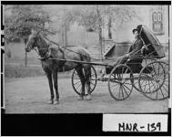 [Photograph of horse and buggy, Forsyth, Monroe County, Georgia, ca. 1900-1939?]