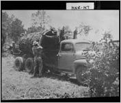 [Photograph of workers, Monroe County, Georgia, 1952]