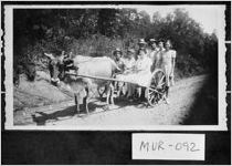 [Photograph of group of people, Murray County, Georgia, 1946 or 1947]