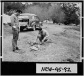 [Photograph of two men and a cow's bones, Covington, Newton County, Georgia, ca. 1945]