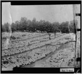 [Photograph of blocks of marble, Nelson, Cherokee and Pickens Counties, ca. 1910]