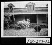 [Photograph of Trippe House, Pickens County, Georgia, 1981]