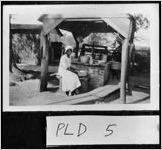 [Photograph of "Aunt Mandy", who worked for John T. Lester preparing vegetables for dinner, Hiram, Paulding County, Georgia, 1937]