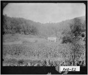[Photograph of John C. Howard home, Rabun County, Georgia, ca. 1910-1920]