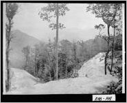 [Photograph of road from Clayton, Georgia, to the top of Black Rock Mountain, Rabun County, Georgia, ca. 1930-1931]