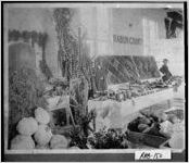 [Photograph of display of John A. Reynolds at Georgia State Fair, Macon, Bibb County, Georgia, 1912]