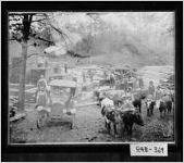 [Photograph of sawmill, Rabun County, Georgia, 1925]