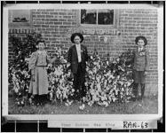 When Cotton Was King