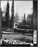 [Photograph of the gardens at the Landon Thomas home, Augusta, Richmond County, Georgia, between 1940 and 1959 ]