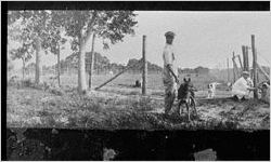 [Photograph of hunting dogs with trainers, Little Sapelo Island, McIntosh County, Georgia, between 1915 and 1934]