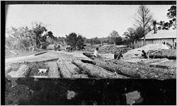 [Photograph of sawmill operation at Sapelo Island, McIntosh County, Georgia, between 1913 and 1925]
