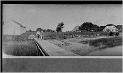 [Photograph of Little Sapelo Island, Little Sapelo Island, McIntosh County, Georgia, 1919 or 1920]