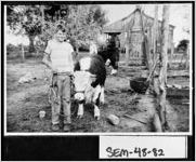 [Photograph of Jimmy and Gerald Lane with cattle at Hayes Place, Miller County, Georgia, ca. 1957-1959? ]