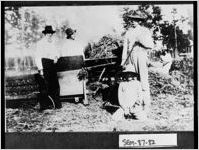 [Photograph of J. J. King and his son Joseph baling hay, Seminole County, Georgia, 1912]