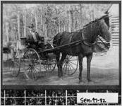 [Photograph of Ellie Adams with his buggy selling sewing machines, Seminole County, Georgia, 1900]