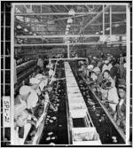 Photograph of assembly line workers, Griffin, Spalding County, Georgia