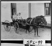 [Photograph of children in a pony cart, Griffin, Spalding County, Georgia, ca. 1914-1919]