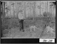 [Photograph of Ansel Alderman with two hunting dogs, Pavo, Thomas County, Georgia, between 1890 and 1900]