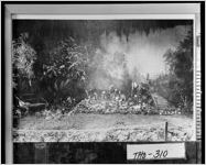 [Photograph of flower exhibit at the Rose Show, Thomasville, Thomas County, Georgia, ca. 1931]