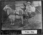 [Photograph of two children in goat cart, Thomasville, Thomas County, Georgia, 1927]