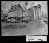 [Photograph of chicken house and pen, Thomasville, Thomas County, Georgia, ca. 1905]