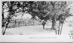SCENE ON H. H. Tift, Jr FARM.-TIFTON.