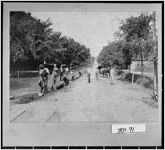 [Photograph of workers preparing Broad Street for paving, LaGrange, Troup County, Georgia, ca. 1900]