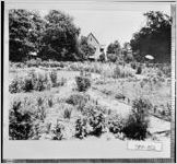 [Photograph of gardens at Pearl Price home, LaGrange, Troup County, Georgia, ca. 1930]