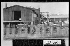 [Photograph of LaGrange Oil Mill and Gin, LaGrange, Troup County, Georgia, 1910]
