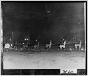 [Photograph of Christmas decorations at night around the square, LaGrange, Troup County, Georgia, 1941]