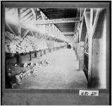 [Photograph of dry house at kaolin mining operation, Washington County, Georgia, ca. 1925]