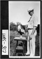 [Photograph of Jewell Turner, Sr., with one of his fighting cocks, Warthen, Washington County, Georgia, 1936 July 30]
