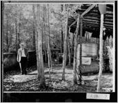 [Photograph of Warren County Sheriff Louis Johnson at moonshine still, Warren County, Georgia, 1961 Oct. 2]