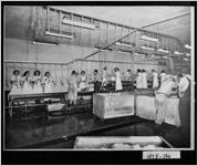 [Photograph of interior of a chicken processing plant, Dalton, Whitfield County, Georgia, 1951]