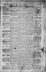 Butler herald (Butler, Ga.), Apr. 10, 1877