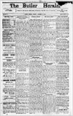 Butler herald (Butler, Ga.), Nov. 12, 1878