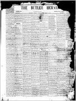 Butler herald (Butler, Ga.), Nov. 25, 1879