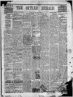 Butler herald (Butler, Ga.), Aug. 2, 1881