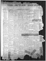 Butler herald (Butler, Ga.), Nov. 3, 1885