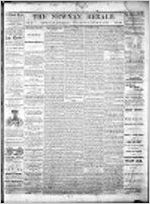 Newnan herald (Newnan, Ga. : 1865), Jul. 6, 1867