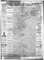 Newnan herald (Newnan, Ga. : 1865), Aug. 3, 1867