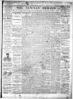 Newnan herald (Newnan, Ga. : 1865), Aug. 17, 1867