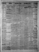 Newnan herald (Newnan, Ga. : 1865), May 4, 1876