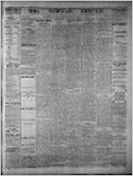 Newnan herald (Newnan, Ga. : 1865), May 11, 1876
