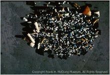 [Photograph of mid-18th century trade beads, kaolin pipe fragments, small metal buttons, and fragments of European ceramics, Chota, taken in 1969] / [by George Fielder]