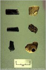 [Photograph of pipe fragments from the Chattooga site, taken in 1993] / [by Gerald F. Schroedl]