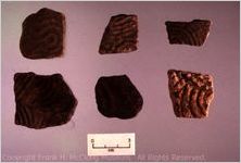 [Photograph of a representative selection of Qualla body sherds from the Chattooga site, taken in 1993] / [by Gerald F. Schroedl]