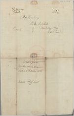 [Letter] 1816 Oct. 2, Tattnall [County], Georgia, [to] D[avid] B. Mitchell, [Governor of Georgia], Mil[l]edgeville / M. Hardin