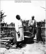 [Photograph of woman and man by field in southern U.S. in late 19th century]