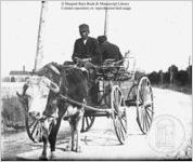 [Photograph of two African American men sitting on an oxcart in or near Richmond County, Georgia, late 19th century]